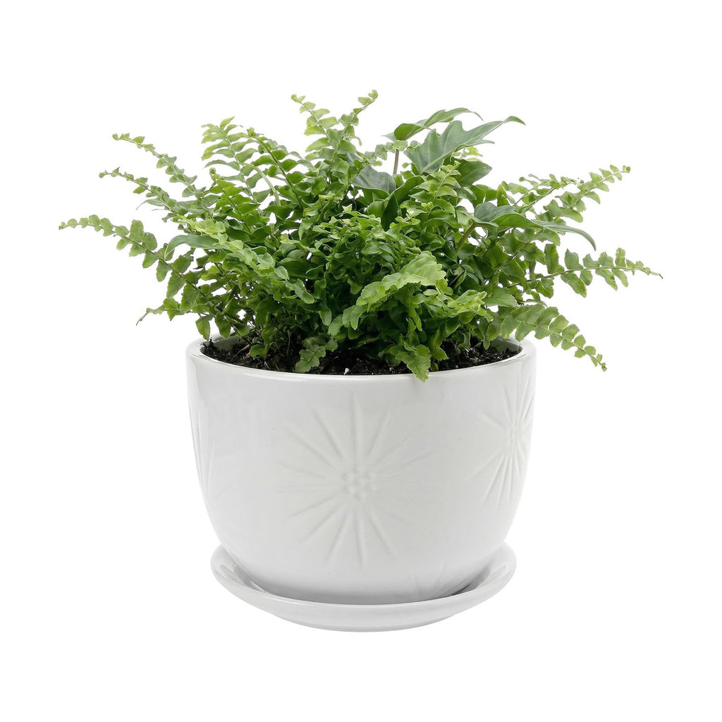MyGift 7 Inch Round White Ceramic Plant Pot with Drainage Hole and Attached Saucer, Modern Decorative Embossed Sunburst