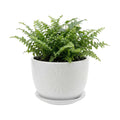 MyGift 7 Inch Round White Ceramic Plant Pot with Drainage Hole and Attached Saucer, Modern Decorative Embossed Sunburst