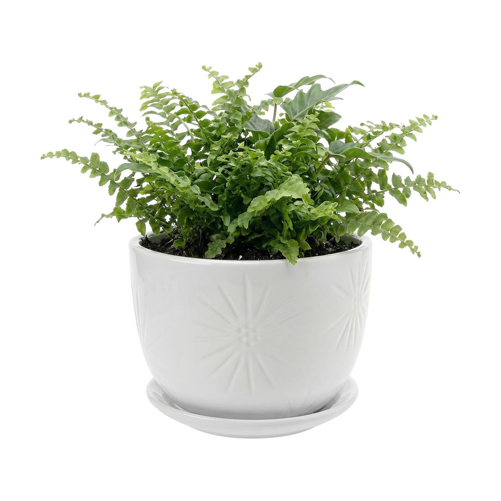 MyGift 7 Inch Round White Ceramic Plant Pot with Drainage Hole and Attached Saucer, Modern Decorative Embossed Sunburst