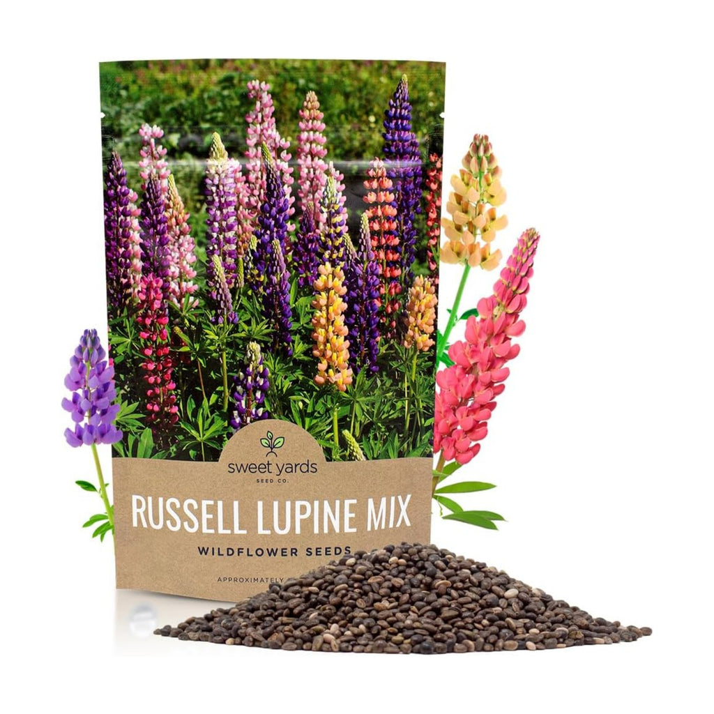 Russell Lupine Seeds – Bulk Quarter Pound Bag – Over 5,000 Open Pollinated Non-GMO Perennial Wildflower Seeds – Lupinus