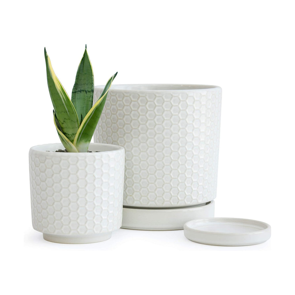 D'vine Dev 2-Pack Honeycomb Ceramic Planters, 4/6 in, 99-C-1-N | Sculptural Surface Detail, Timeless Design, Functional