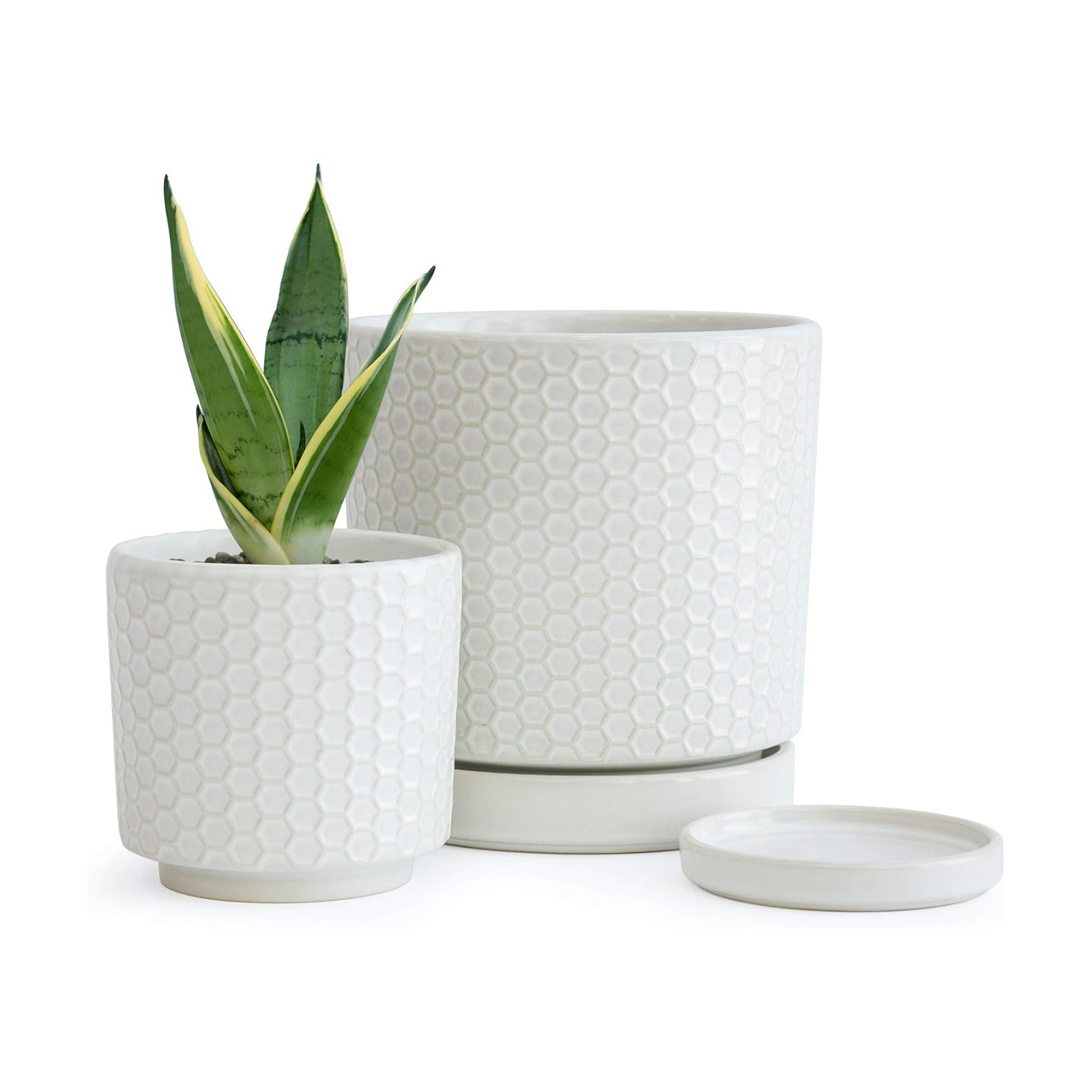 D'vine Dev 2-Pack Honeycomb Ceramic Planters, 4/6 in, 99-C-1-N | Sculptural Surface Detail, Timeless Design, Functional