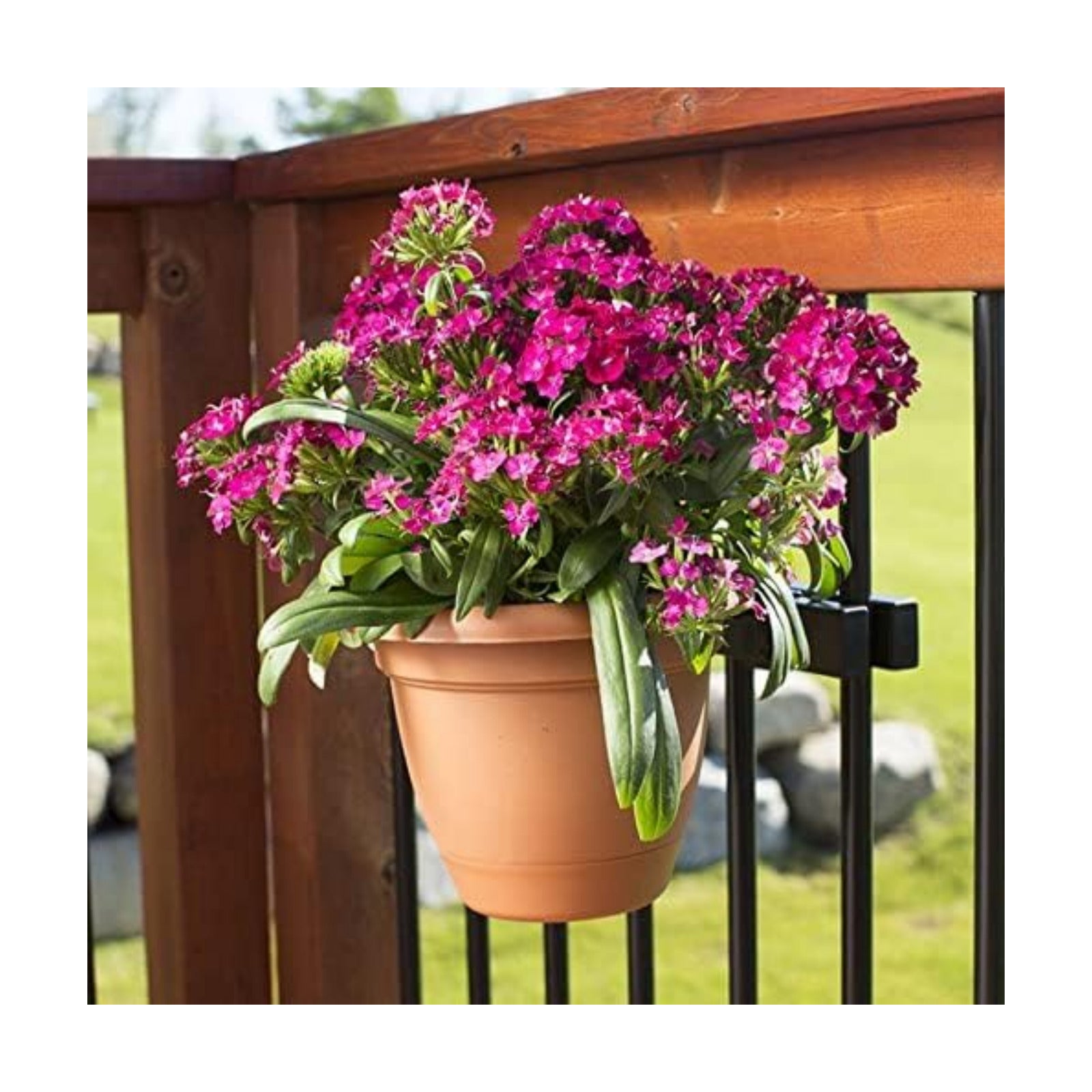 Deck Railing Plant Container Holder/Bracket Kit for Round Pot Planters (10") Connects Harmlessly to Vertical Spindled
