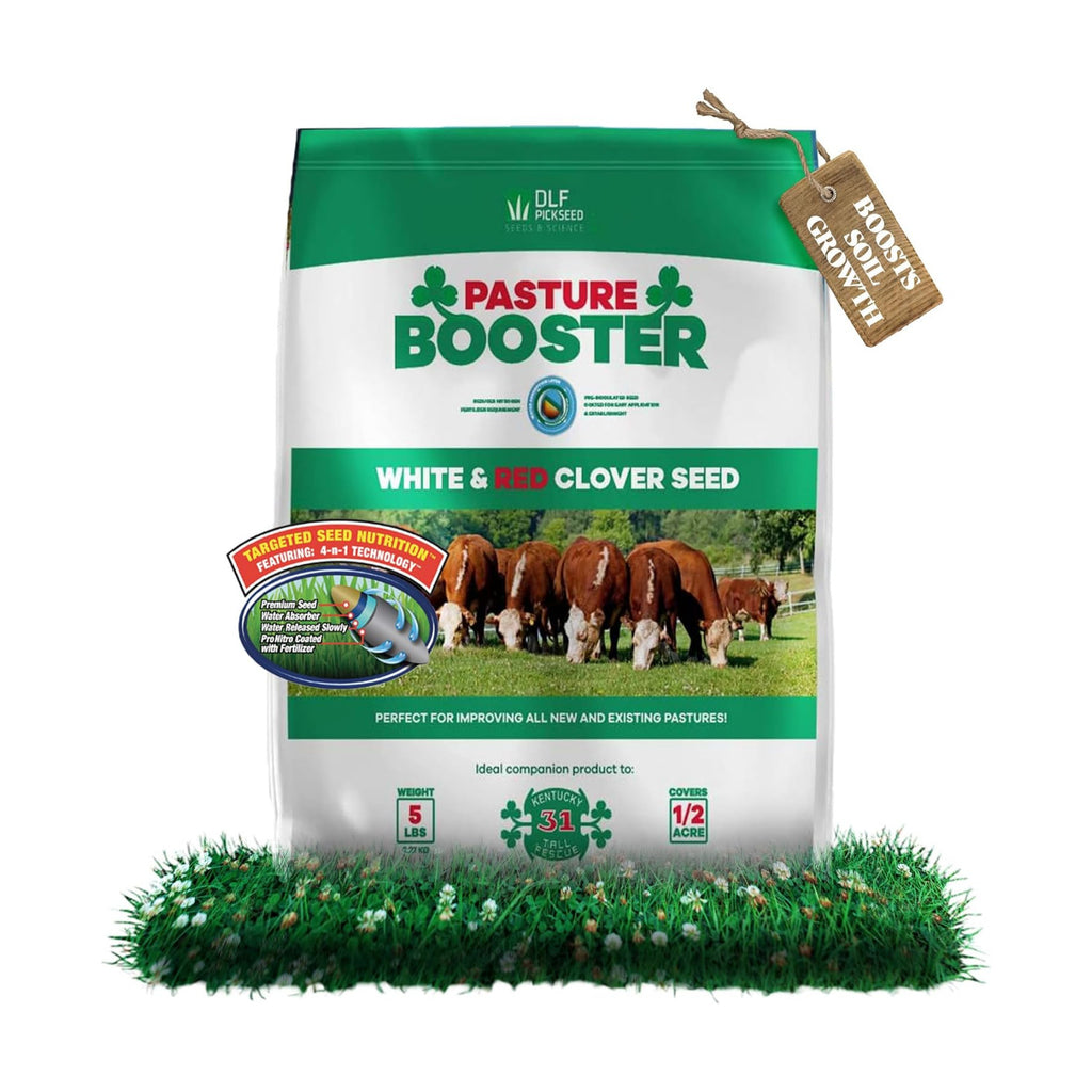 DLF Pasture Booster Clover Seed Mixture - Premium Clover Seed for Pastures, Livestock, Horses, Providing Protein &