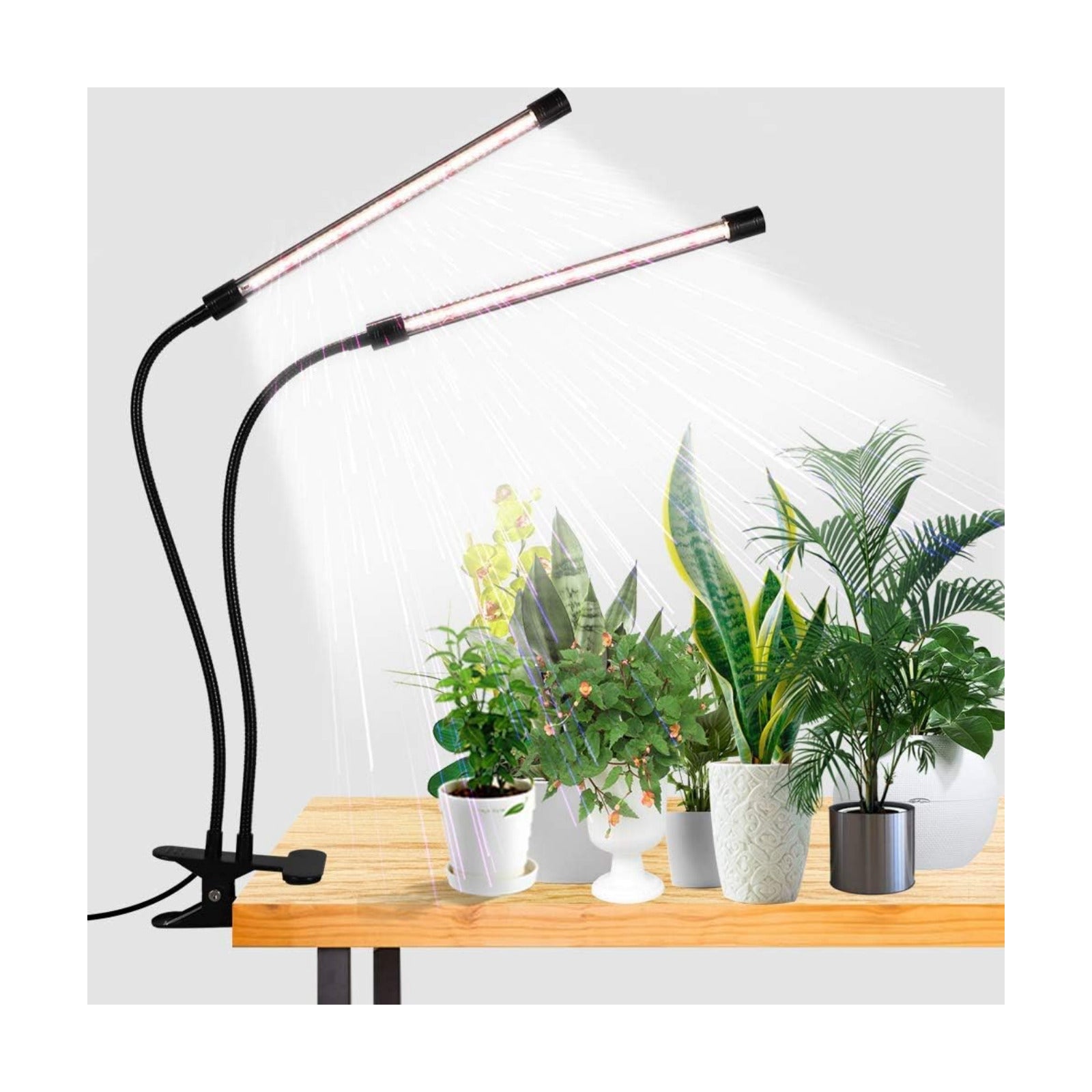 Grow Light,6000K Full Spectrum Indoor Plant Growing Lamp | Desk Lamp with White Red LEDs for Indoor Plants,Clamp with