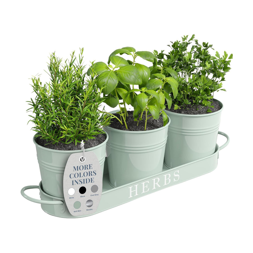 Barnyard Designs Indoor Herb Garden Planter Pots Set/3 (Soft Mint)