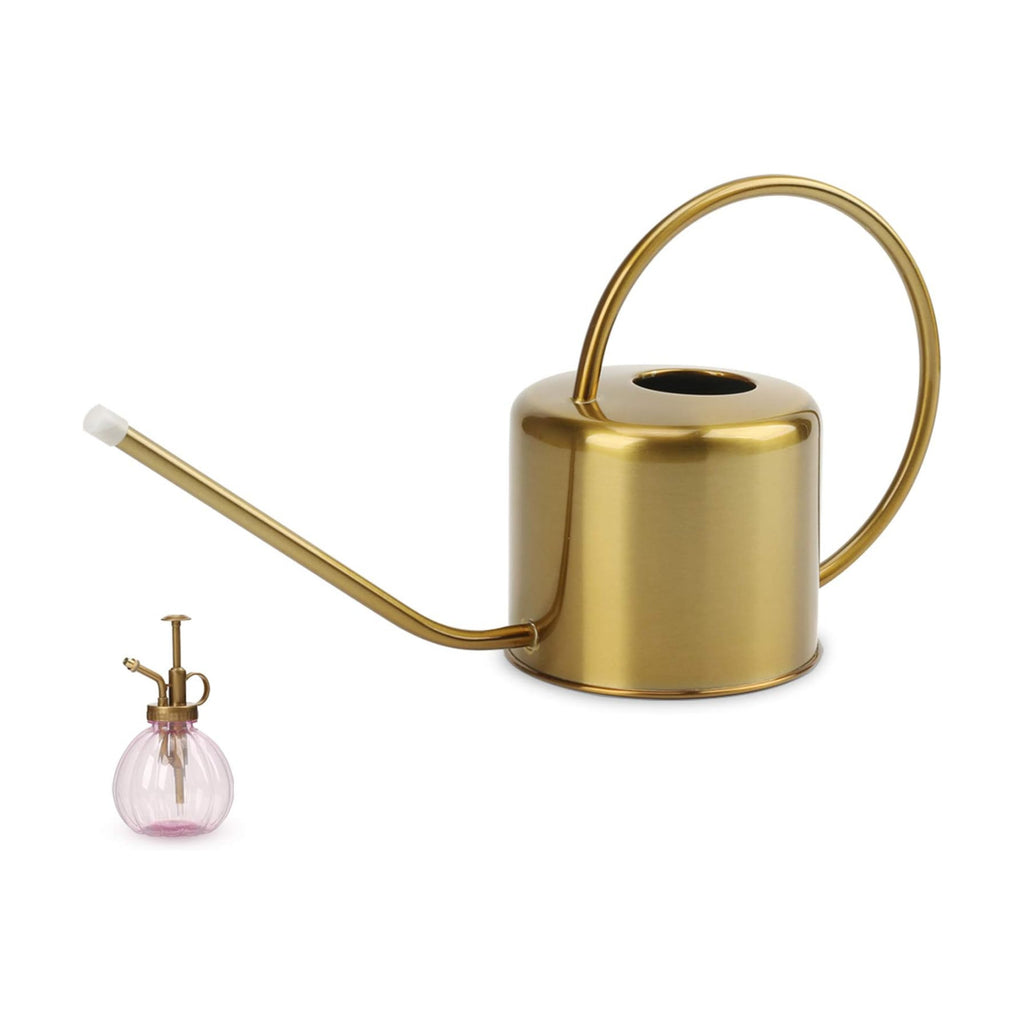 Remiawy Watering Can Indoor Outdoor Stainless Steel Watering Cans for House Plants Long Spout Water Can for Succulent