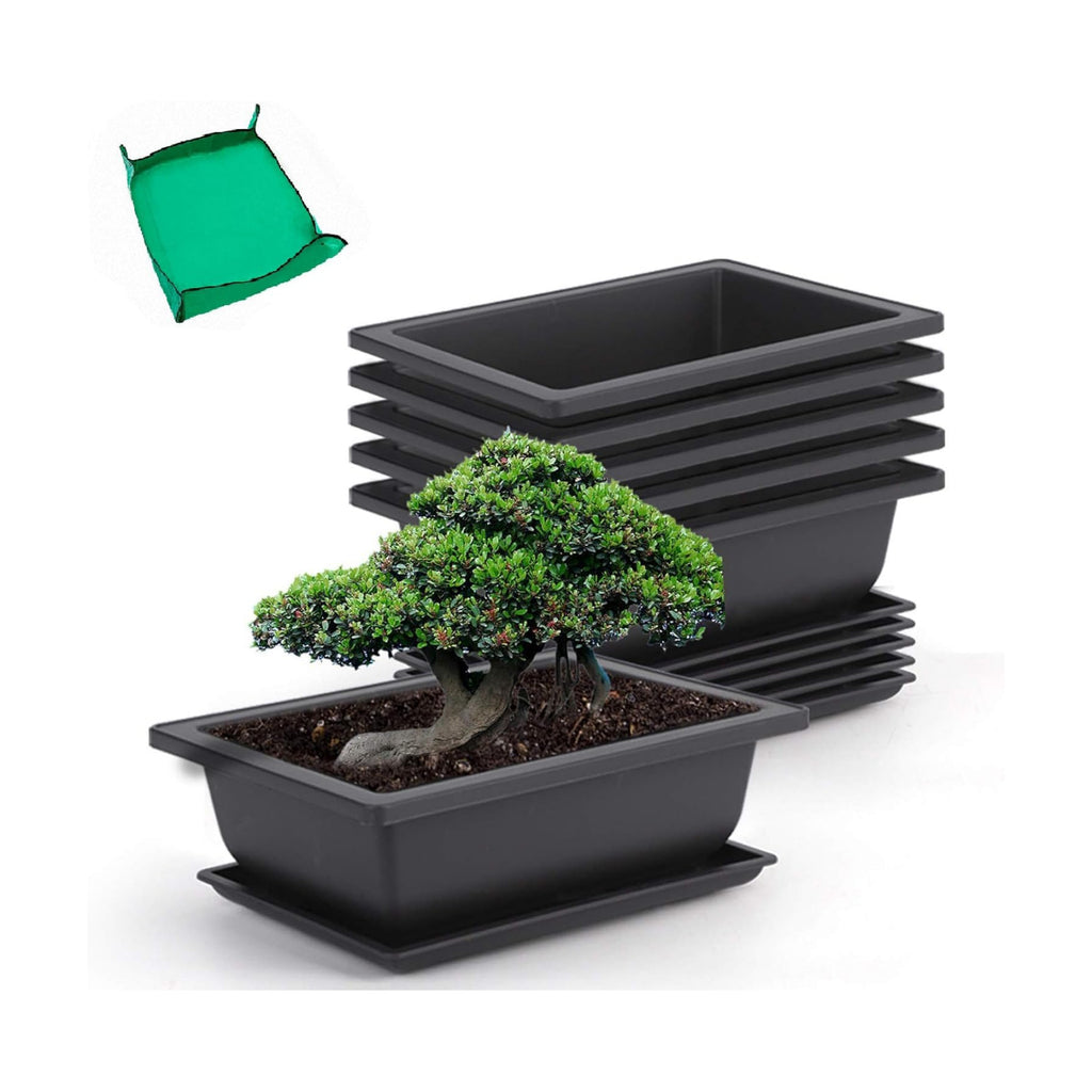GROWNEER 6 Pack 9 Inch Bonsai Pots with Drainage Humidity Trays, Bonsai Tree Training Pot with 1 Repotting Mat