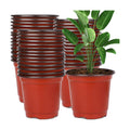 Augshy 130 Pcs 6 Inches Plastic Plant Nursery Pots, Seed Starting Container