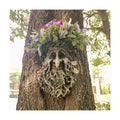 Old Man Tree Face Decor Sculpture Flower Planter Pot by Waterproof Resin, for Indoor, Outdoor, Home Decor, Garden