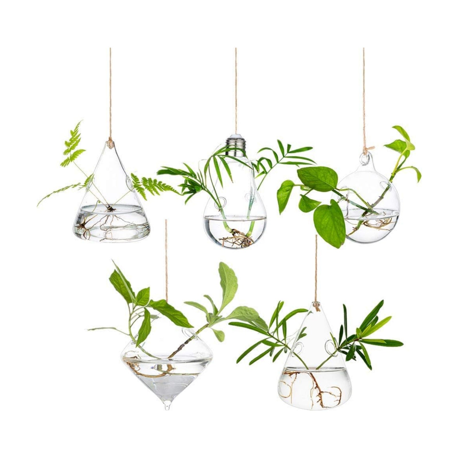 Glasseam Hanging Plant Propagation Station: 5Pcs Small Glass Terrarium Jars | Hydroponic Planters for Indoor Pothos