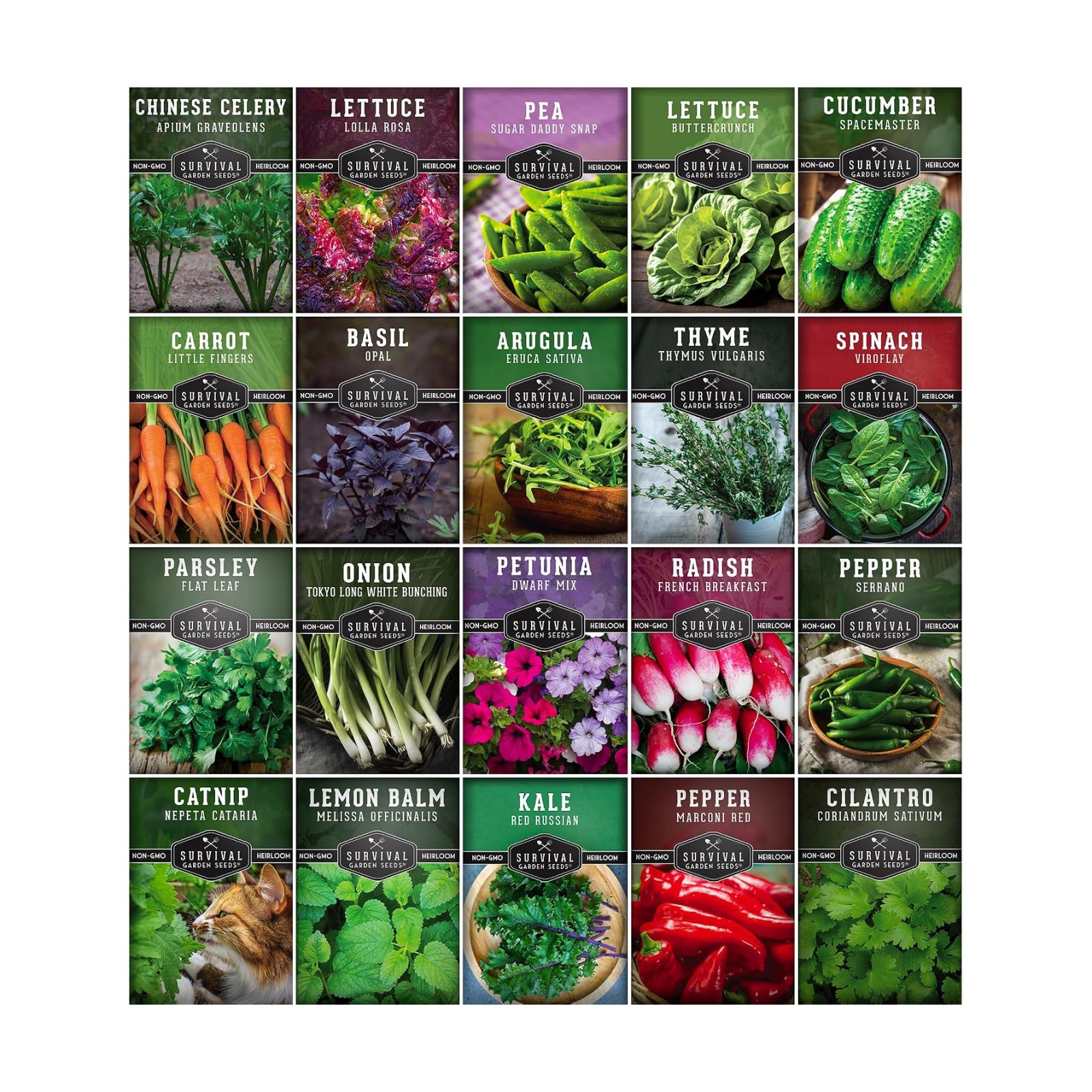 Hydroponic & Indoor Garden Seed Kit – Survival Garden Seeds | 20 Compact Heirloom Vegetable & Herb Varieties
