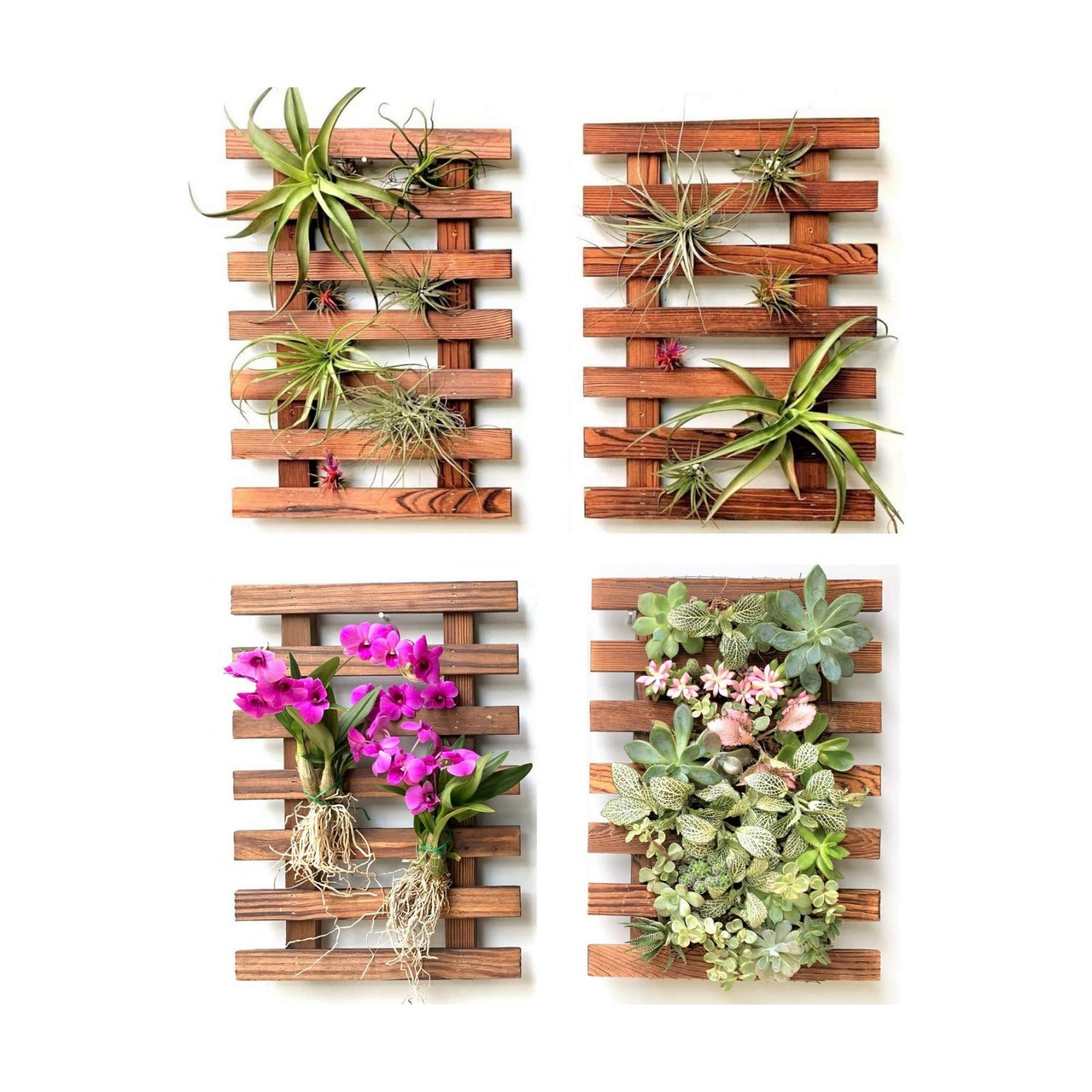 ShopLaLa Wooden Wall Planter (40cm, 4 Pack) Hanging Planters for Indoor | Air Plant Succulent Orchid Holder, Live