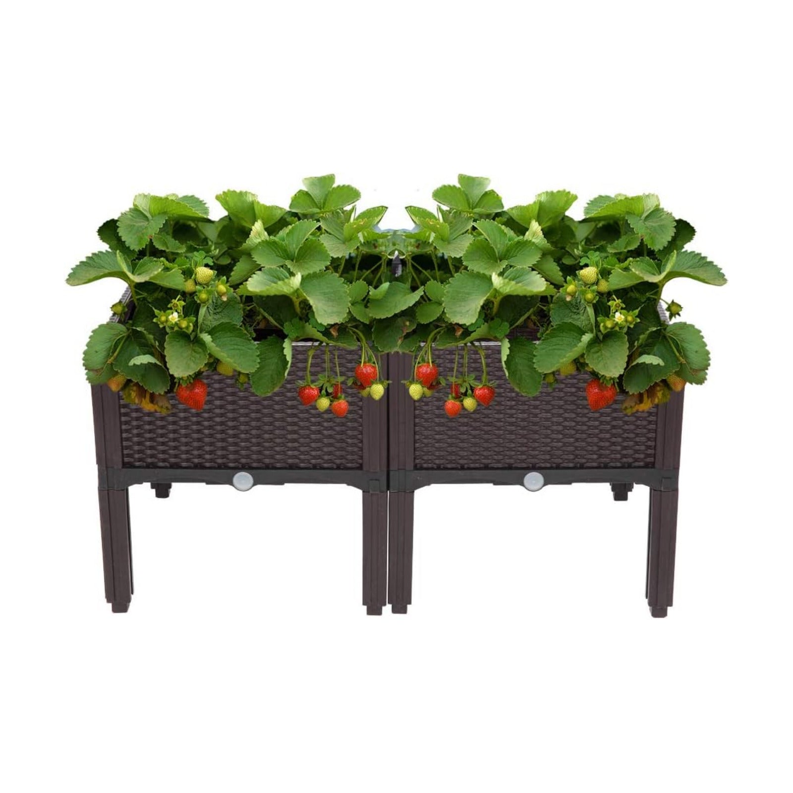 VINGLI Square Raised Garden Bed, Self-Watering Plastic Planter for Indoor Outdoor Vegetables, Fruits, Potato, Flowers