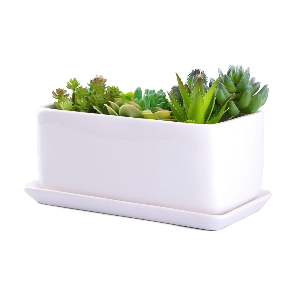 VanEnjoy 10 Inch White Rectangle Ceramic Succulent Planter Pot Decorative Cactus Plant Pot Flower Container with