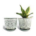 Gepege Ceramic Plant Pots, 6 Inch Indoor Planters with Drainage & Saucers