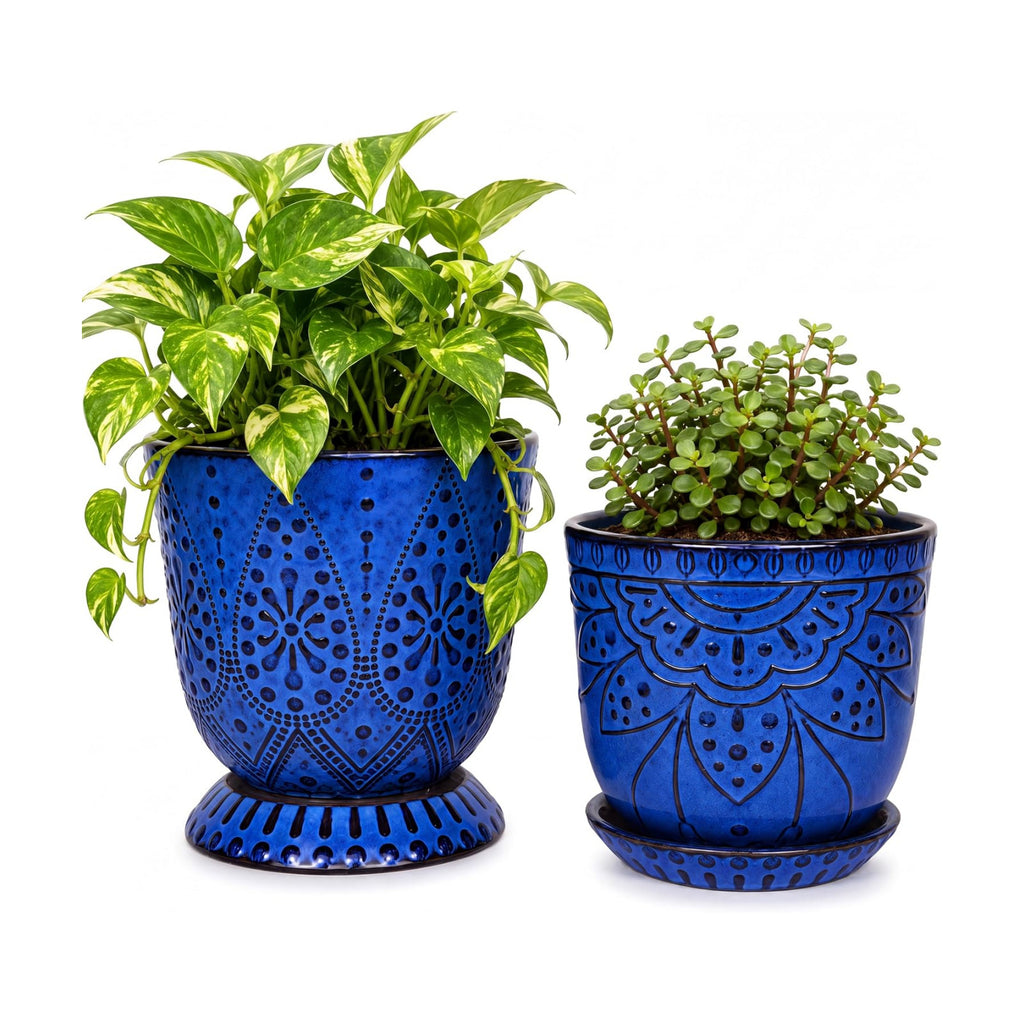 Gepege Ceramic Plant Pots, 6 Inch Indoor Planters with Drainage & Saucers | Ceramic pots for plants with drainage