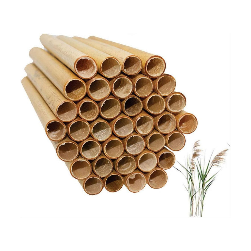 Veezy Mason Bee Tubes Natural Reed Pipe bee hive Inserts Pollinating kit for bee House Blocks bee nest Home Craft