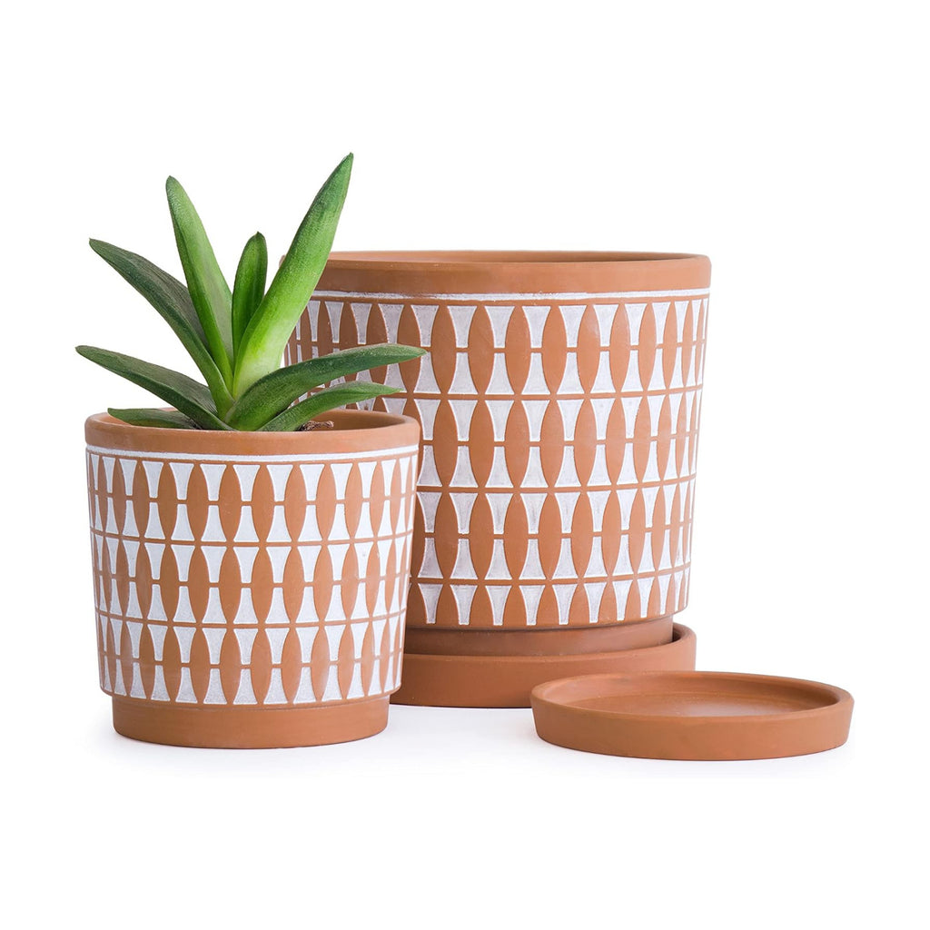 D'vine Dev 2-Pack Terracotta Pots, 4/6 in, Red/White, 31-958-B-1 | Hand-Painted Pattern, Natural Clay Texture, Artisan