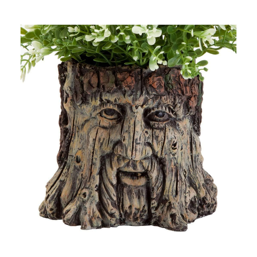 Bits and Pieces - Tree Face Garden Planter Flower Pot - 5 1/2 Inch | Durable Polyresin Indoor-Outdoor Urn for Plants