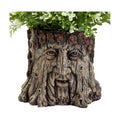 Bits and Pieces - Tree Face Garden Planter Flower Pot - 5 1/2 Inch | Durable Polyresin Indoor-Outdoor Urn for Plants
