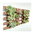 ShopLaLa Wall Planter - 2 Pack Wooden Hanging Succulent Wall Decor, Live Air Plants Orchids Wall Mounted Holder Frame