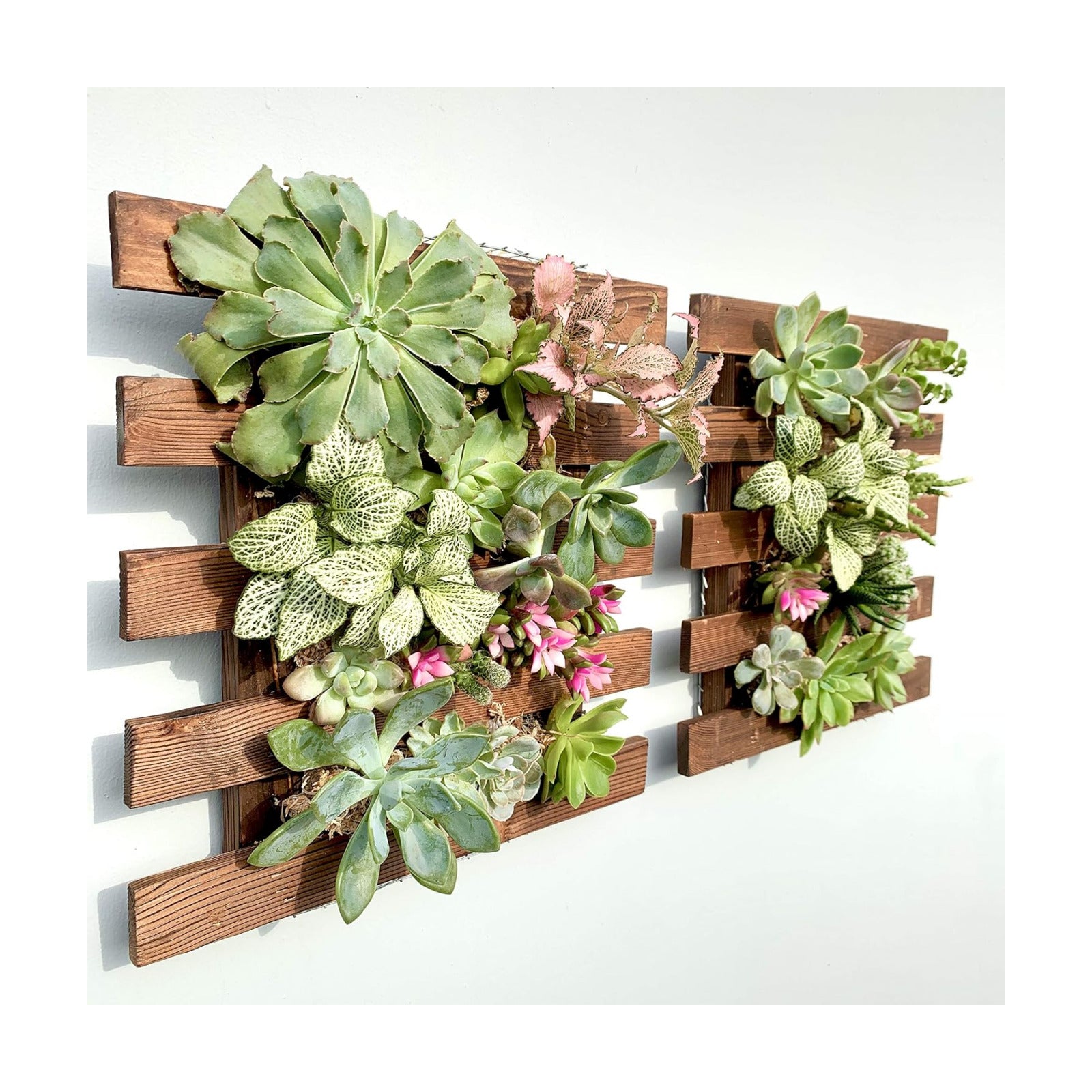 ShopLaLa Wall Planter - 2 Pack Wooden Hanging Succulent Wall Decor, Live Air Plants Orchids Wall Mounted Holder Frame