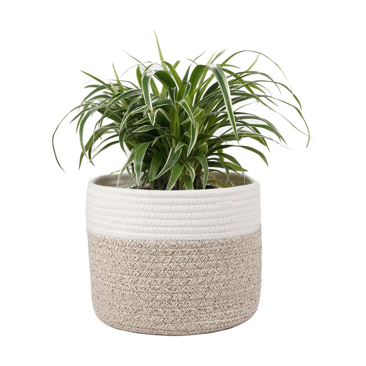 Woven Cotton Rope Plant Basket for 8" Flower Pot H7.5 x W8.5