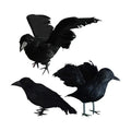 FUNPENY Halloween Black Feathered Crows, 3 Pack Black Crows with Real Feather Halloween Decoration for Indoor Outdoor