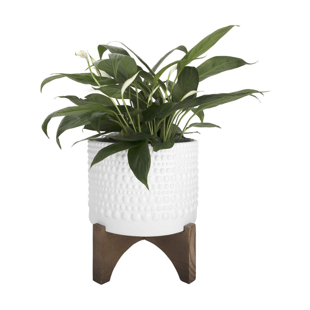 LA Jolie Muse Ceramic Pot for Plants, 8 Inch Indoor Planter with Stand | Hobnail Patterned Flower Pot with Wood Stand