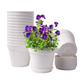 6 Inch Plastic Plant Pots with Drainage Holes and Trays (15 Pcs) | Cream white finish suits orchids, succulents, herbs