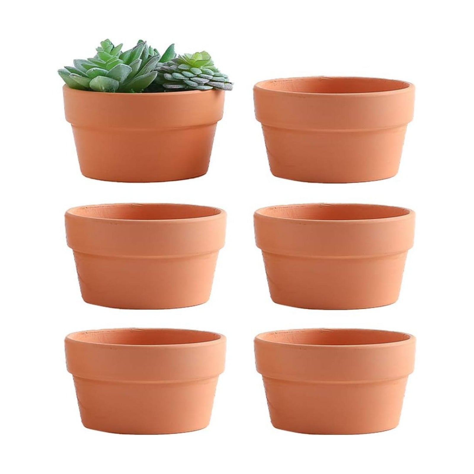 Yishang 6 Inch Terracotta Shallow Planters,Ceramic Flower Clay Plant Pots with Drainage Hole,Unglazed Cactus/succlent