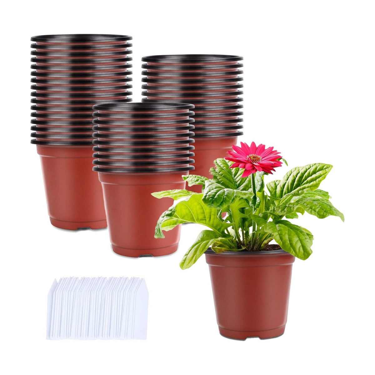 Augshy 250Pcs 4 Inches Plant Pots Seed Starting Containers with 300 Labels