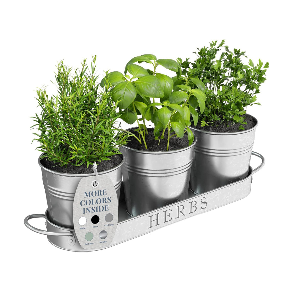 Barnyard Designs Indoor Herb Garden Planter Pots Set/3 (Galvanized)