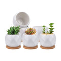 6 Pack Ceramic Succulent Planter Pot with Bamboo Tray, 4 Inch Small White Diamond Shaped Cactus Herb Flowers Planter
