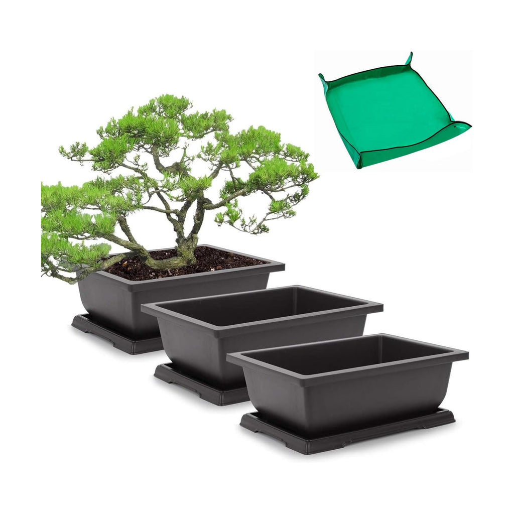 GROWNEER Bonsai Pots 3 Packs 11 Inch Bonsai Tree Training Pot with Humidity Drainage Trays & Repotting Mat Rectangle