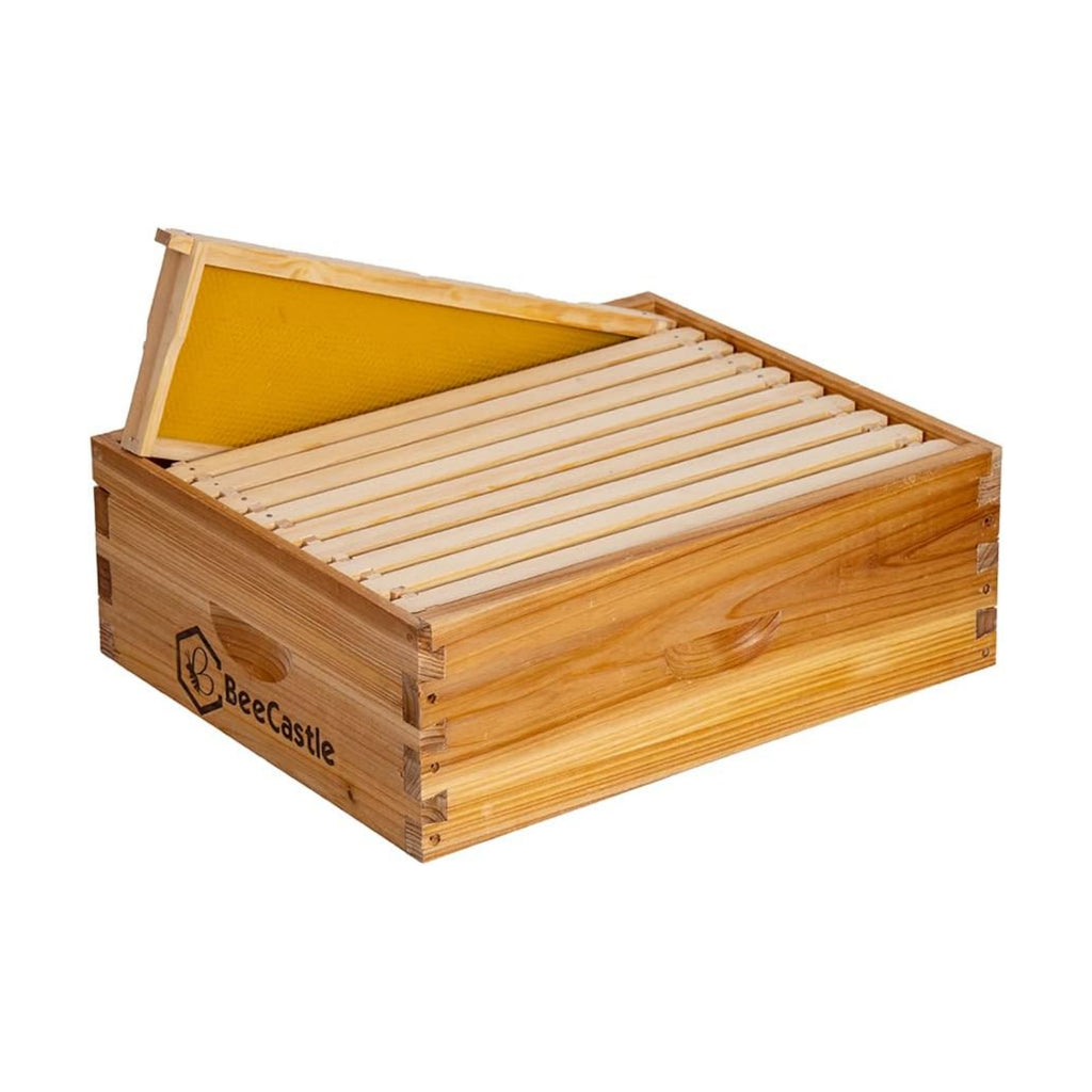 BeeCastle 10 Frame Medium Super Bee Hive Box, Langstroth Honey Bee Hive Dipped in 100% Beeswax Include Beehive Frames