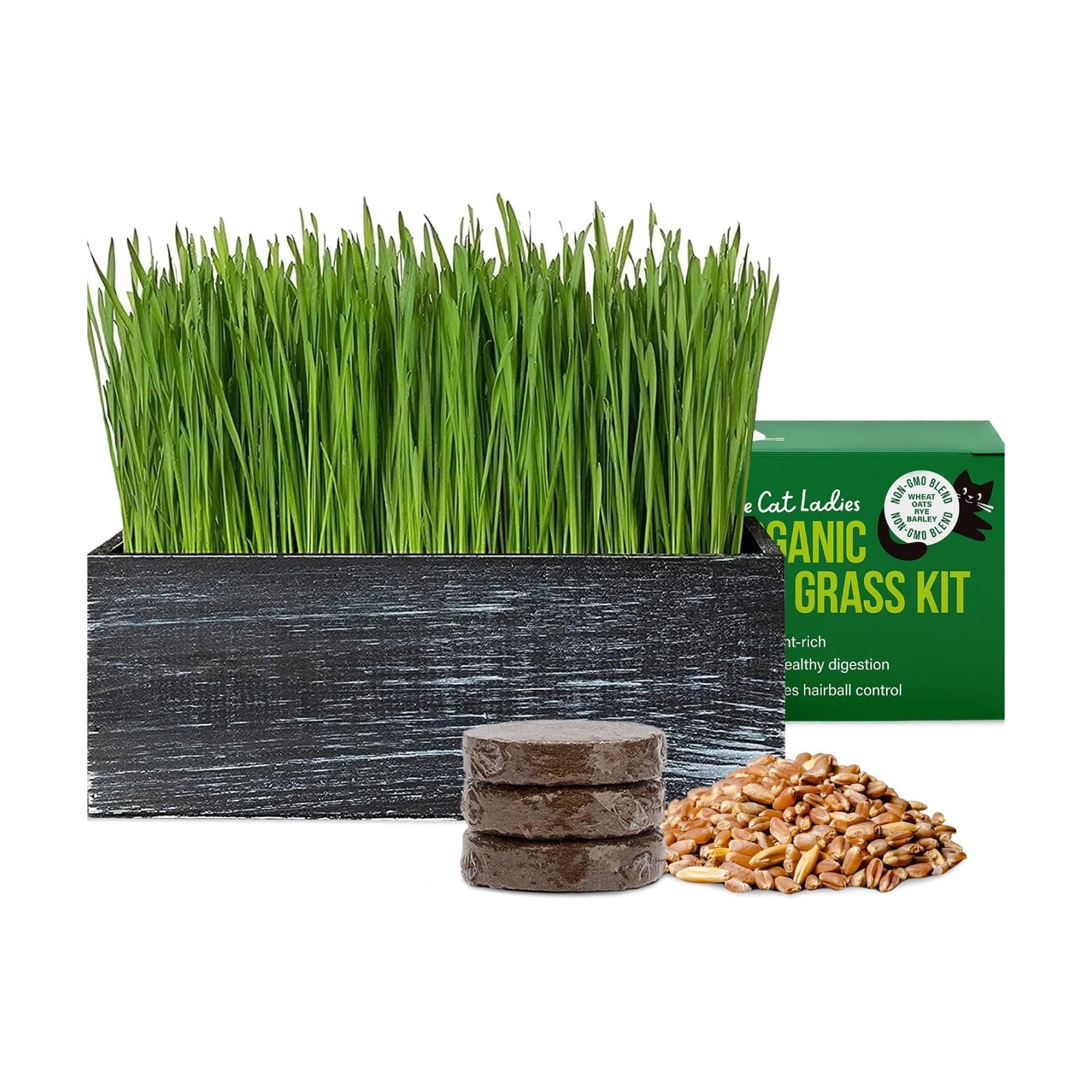 The Cat Ladies Cat Grass Kit with Black Rustic Wooden Planter, Organic Cat Grass Seeds and Soil. Easy to Grow Cat Grass