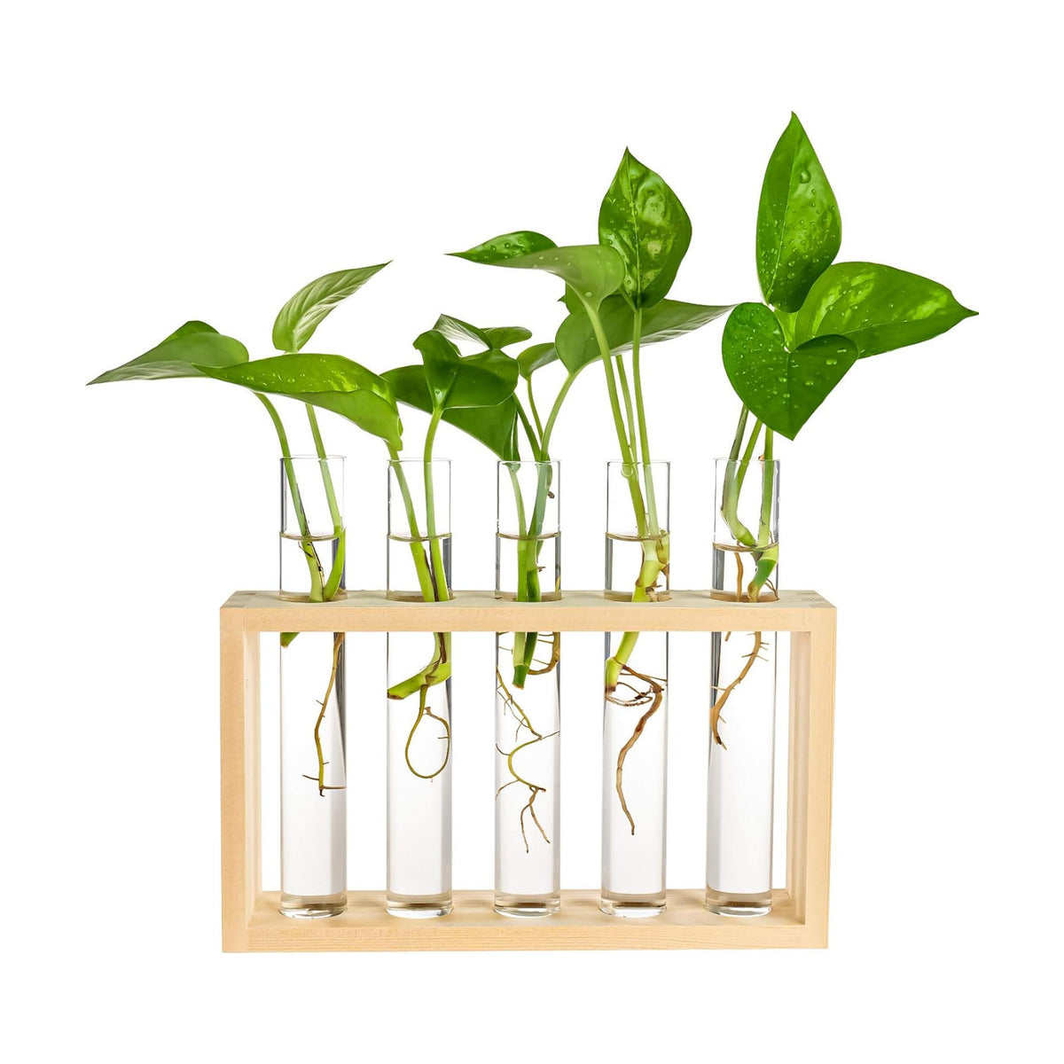 Wooden Propagation Station with 5 Glass Test Tubes, Tabletop Glass Terrarium Holder for Plant Cuttings Hydroponics, Home Office Desk Decor Gift for Women Mom Plant Lovers, Beige