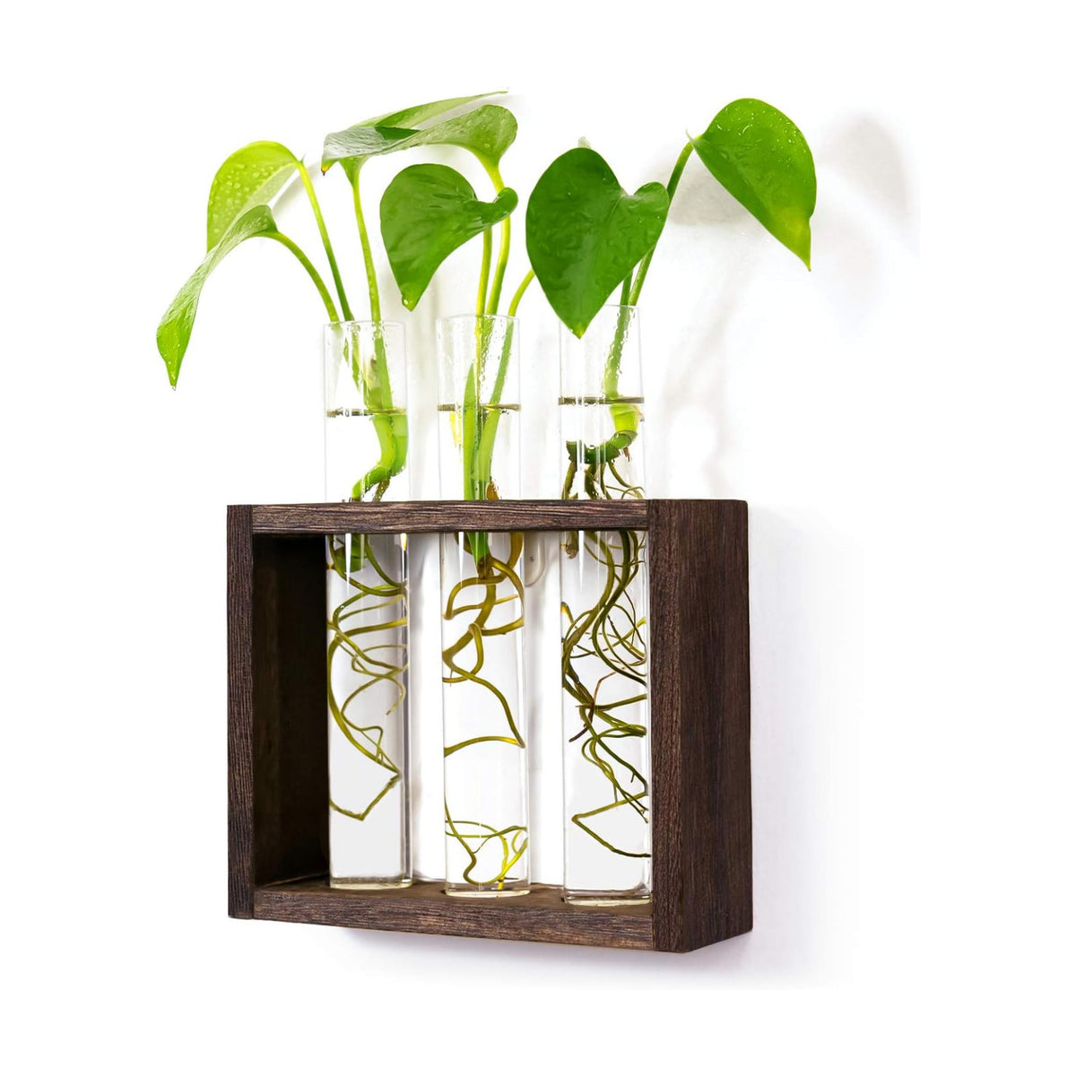 Wooden Propagation Station with 3 Glass Test Tubes, Tabletop Glass Terrarium Holder for Cuttings Hydroponics, Home Office Desk Decor Gift for Women Mom Plant Lovers, Brown