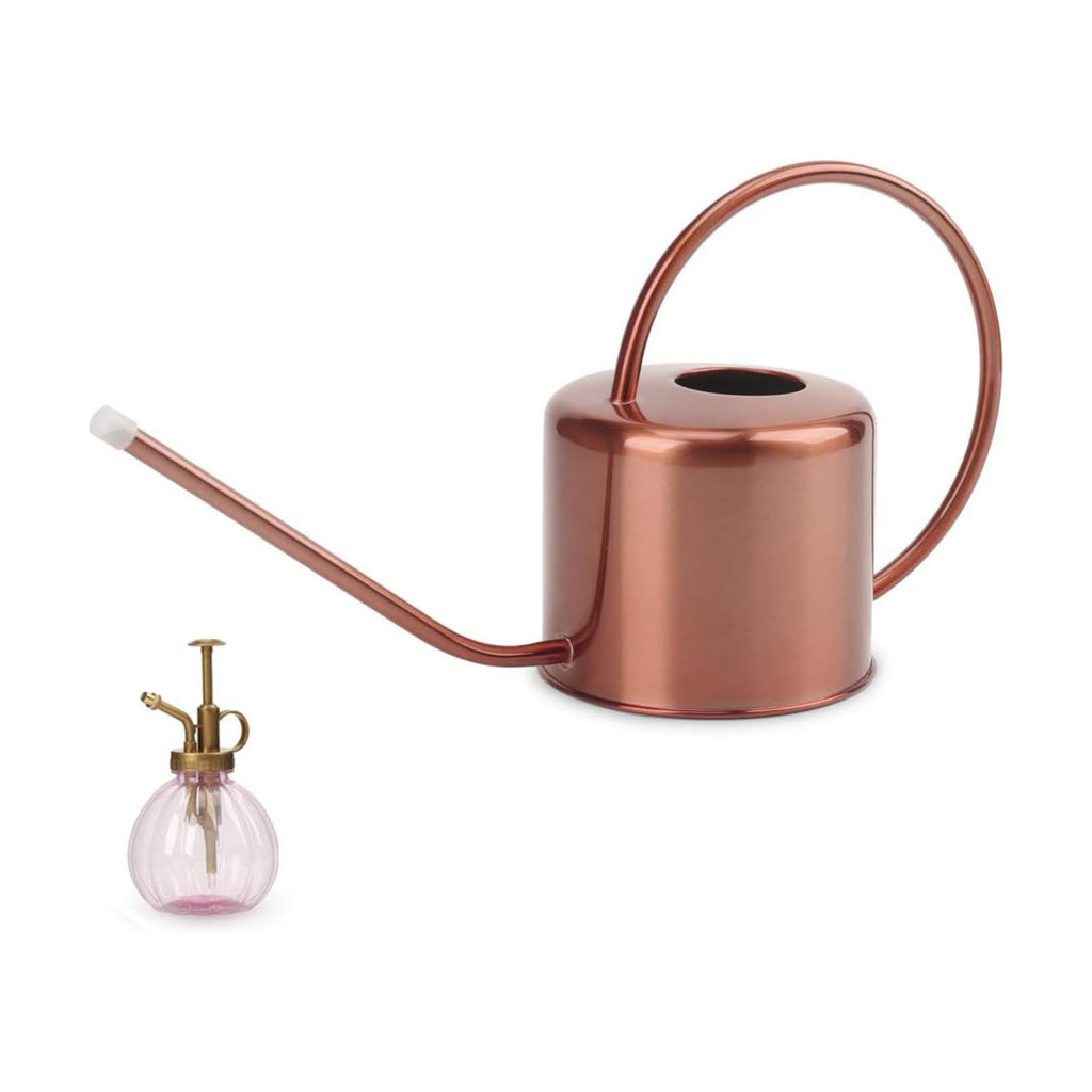 Remiawy Watering Can Indoor Outdoor Stainless Steel Watering Cans for House Plants Long Spout Water Can for Succulent
