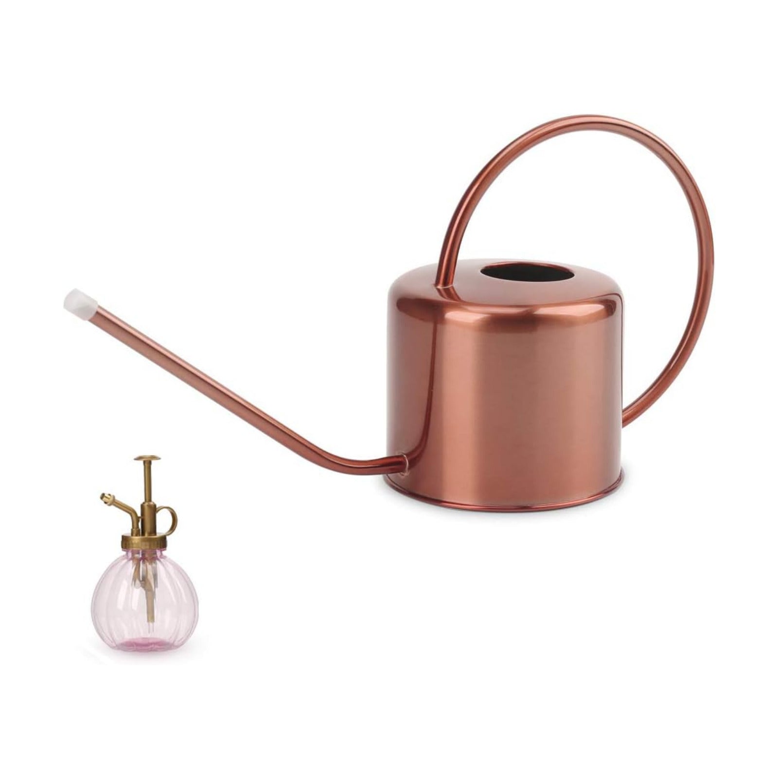 Remiawy Watering Can Indoor Outdoor Stainless Steel Watering Cans for House Plants Long Spout Water Can for Succulent