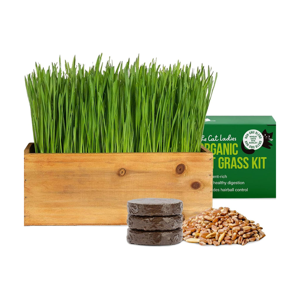 The Cat Ladies Cat Grass Kit with Rustic Wood Planter, Seed and Soil. Easy to Grow for Indoor or Outdoor Cats, Dogs and