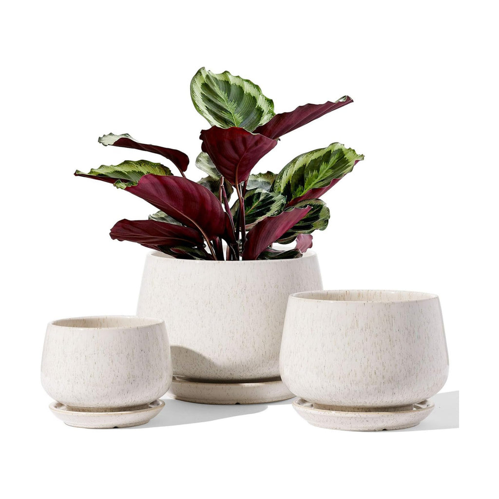 LE TAUCI Plant Pots, 4.1+5.1+6.5 inch, Set of 3, Ceramic Planters with Drainage Hole and Saucer, Indoor Flower Pot with