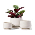 LE TAUCI Plant Pots, 4.1+5.1+6.5 inch, Set of 3, Ceramic Planters with Drainage Hole and Saucer, Indoor Flower Pot with