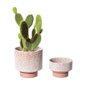 UBEE Planter Ceramic Flower Pot for Indoor Plants | 5.5 inch + 4.9 inch Plant Pot with Saucer and Drainage Hole for