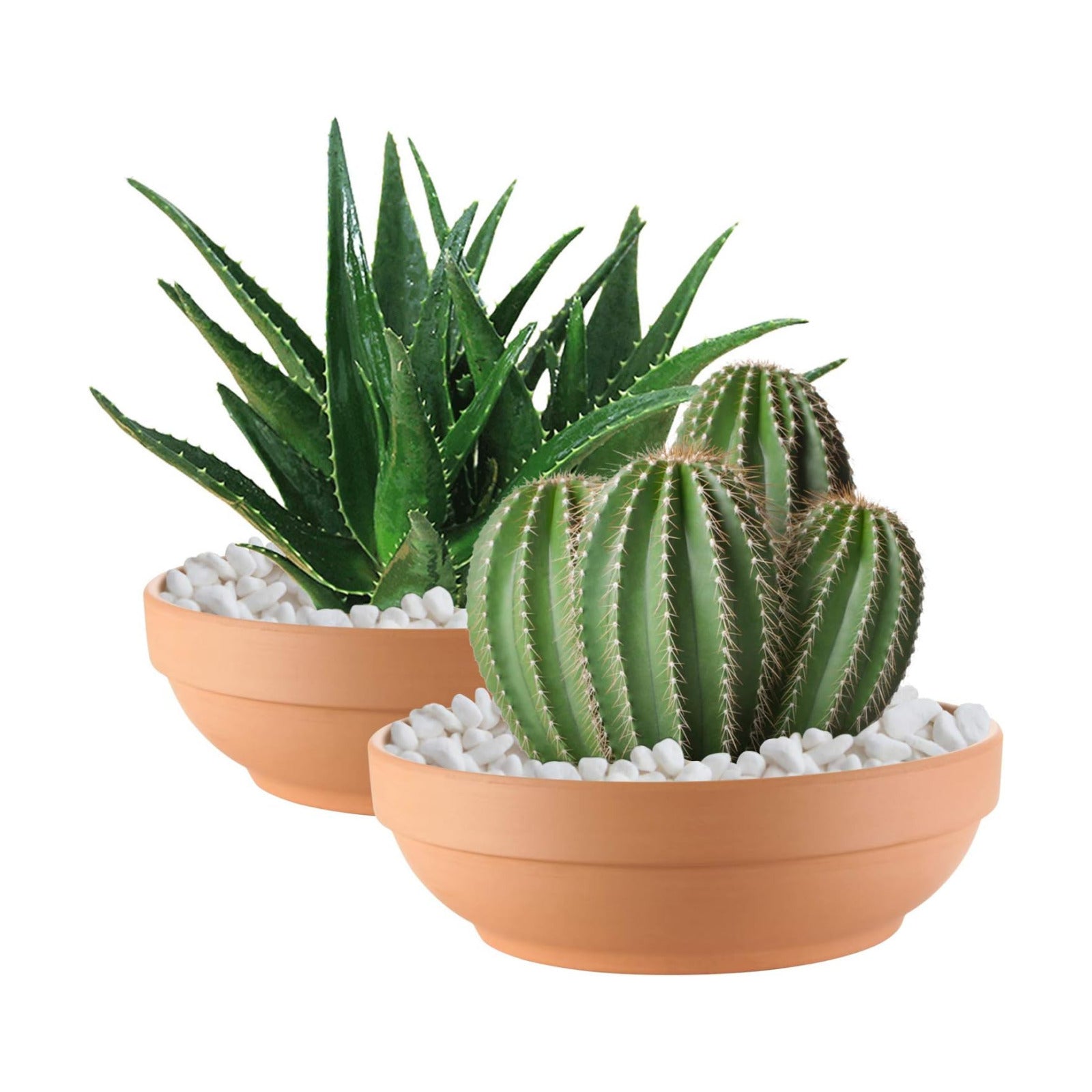 Laerjin Terracotta Pots with Drainage Holes, Large 2 Pack, 8.66 Inch | Ideal for gardeners growing cactus, succulents
