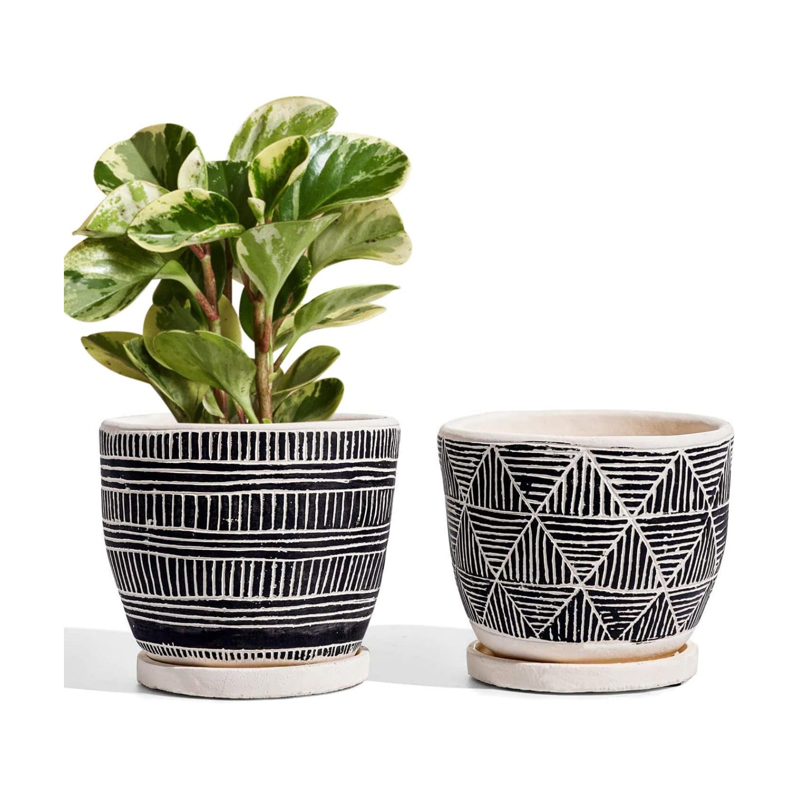 LE TAUCI 5.5 Inch Boho Plant Pots Indoor, Artisanal Cement Pots for Plants, Succulent Pots with Drainage Holes and