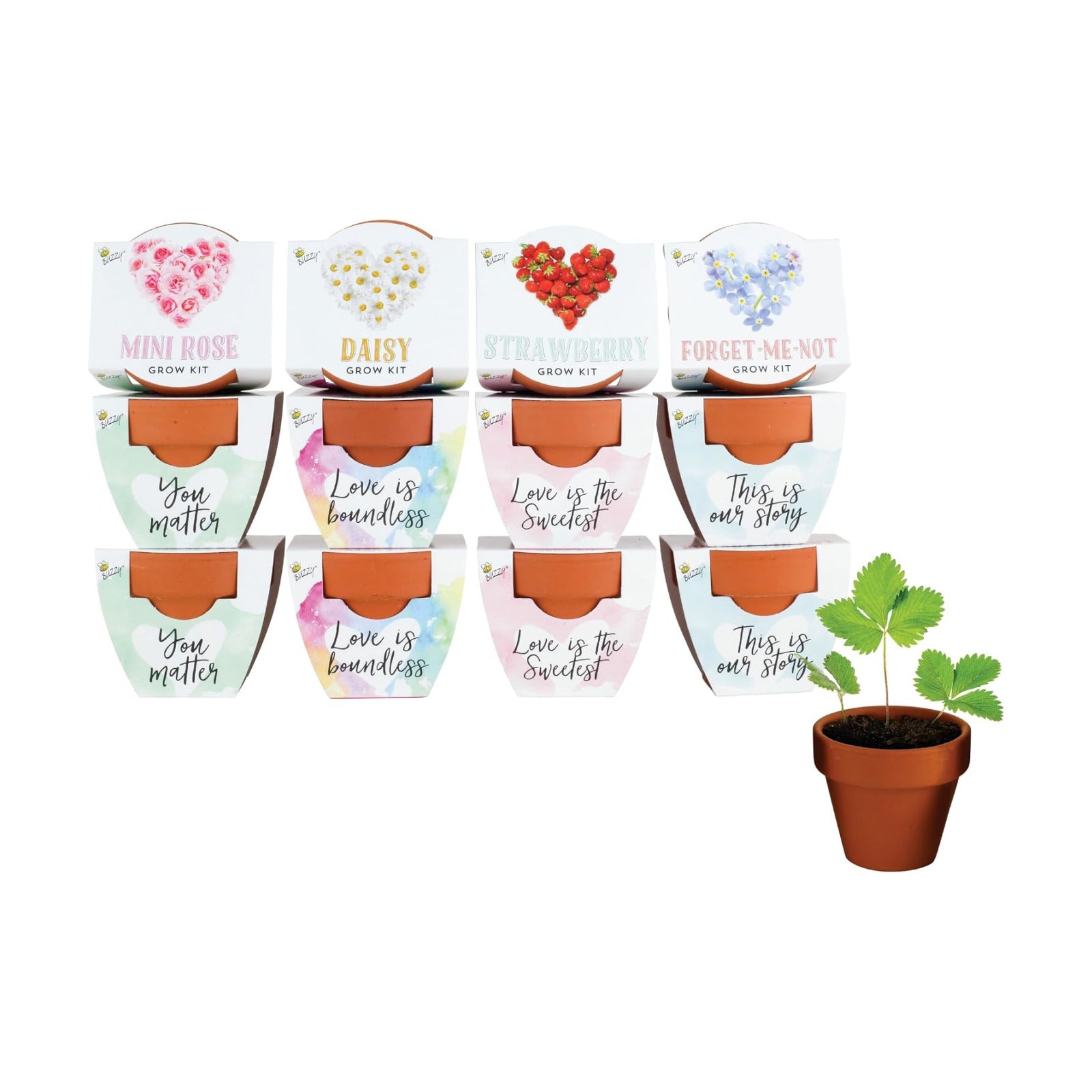BUZZY Seeds Love Collection Grow Kit, Assorted 12-Pack - Mini Terracotta Pot Grow Set - 100% Grow Guarantee
