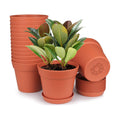 6 Inch Plastic Flower Pots with Drainage Holes and Trays (15 Pcs) | Matte terracotta finish suits orchids, snake